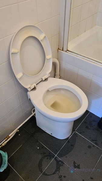  verstopping toilet Gouda